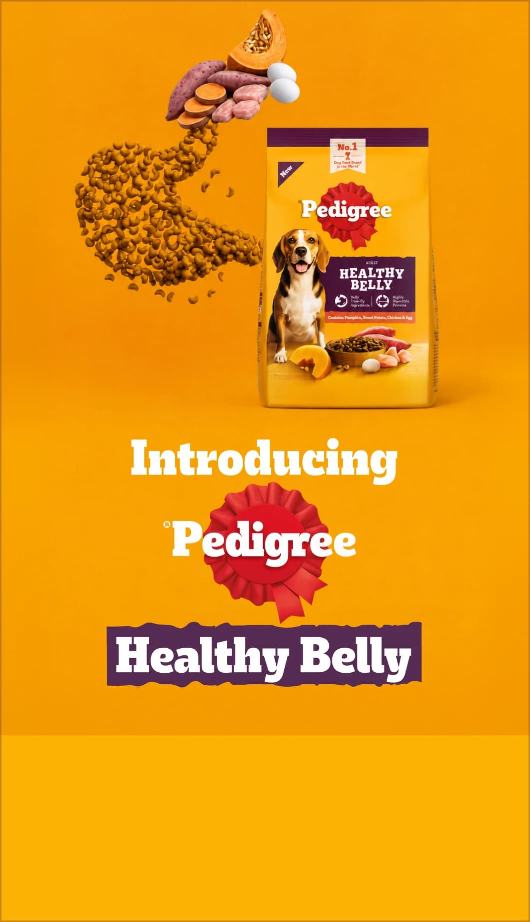 NEW Pedigree Healthy Belly