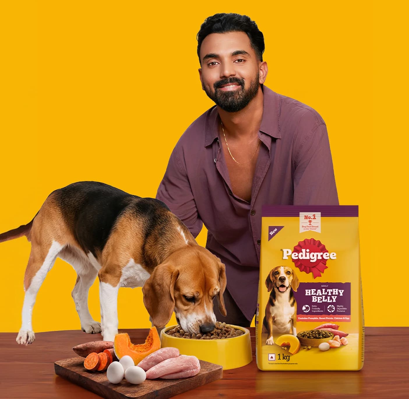 Dog enjoying Pedigree Healthy Belly